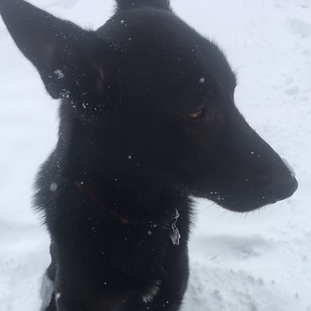Meet your Posher, Zuko
